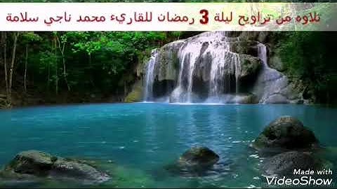 تلاوه من تراويح ليلة 3 رمضان💜💛💚 #للقاريء_محمد_ناجي_سلامة 😍😍😍😍