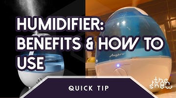 Humidifier: How It Works & Humidifier Benefits  | The Ryan Show