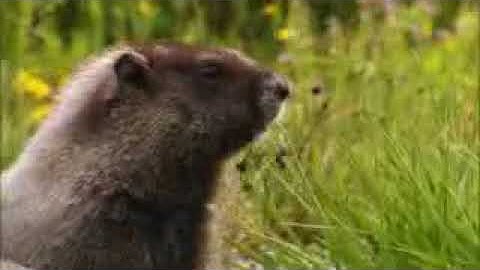 Test Upload via Java on Thu Feb 22 18:27:11 BRT 2018