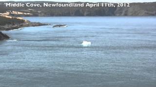 Iceberg In Middle Cove Newfoundland April 11, 2012