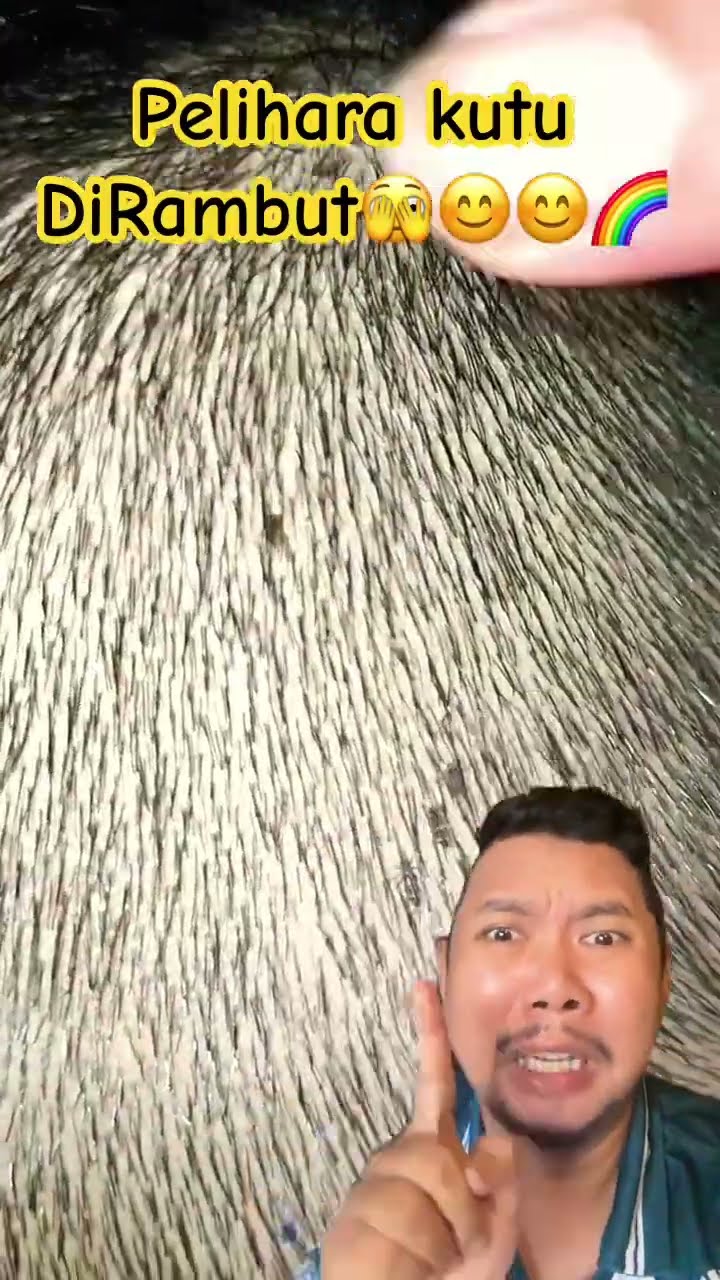 KAKAK ada Sesuatu DIRAMBUT!!!?? #barbershop #hair #shortsfeed #shorts #satisfying