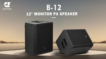 EXOTON B-12 12" Monitor PA Speaker