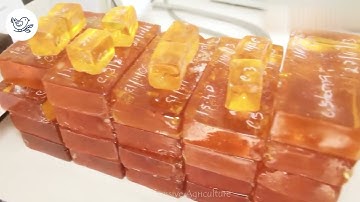 Pine Forests: Harvesting And Processing Pine Resin And Pine Nuts | Mother Nature