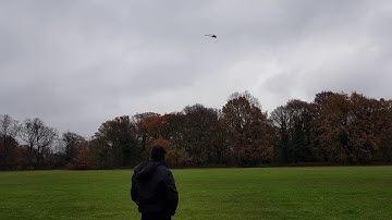 Goblin 700 T first flight of the day.