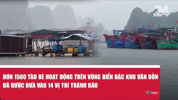 Hơn 1500 tàu bè hoạt động trên vùng biển đặc khu Vân Đồn đã được đưa vào 14 vị trí tránh bão | VTV24