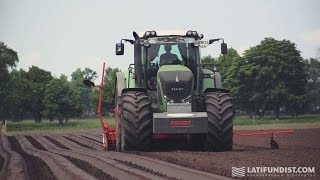 Трактор Fendt 936 Vario сеет морковь в агрокорпорации 