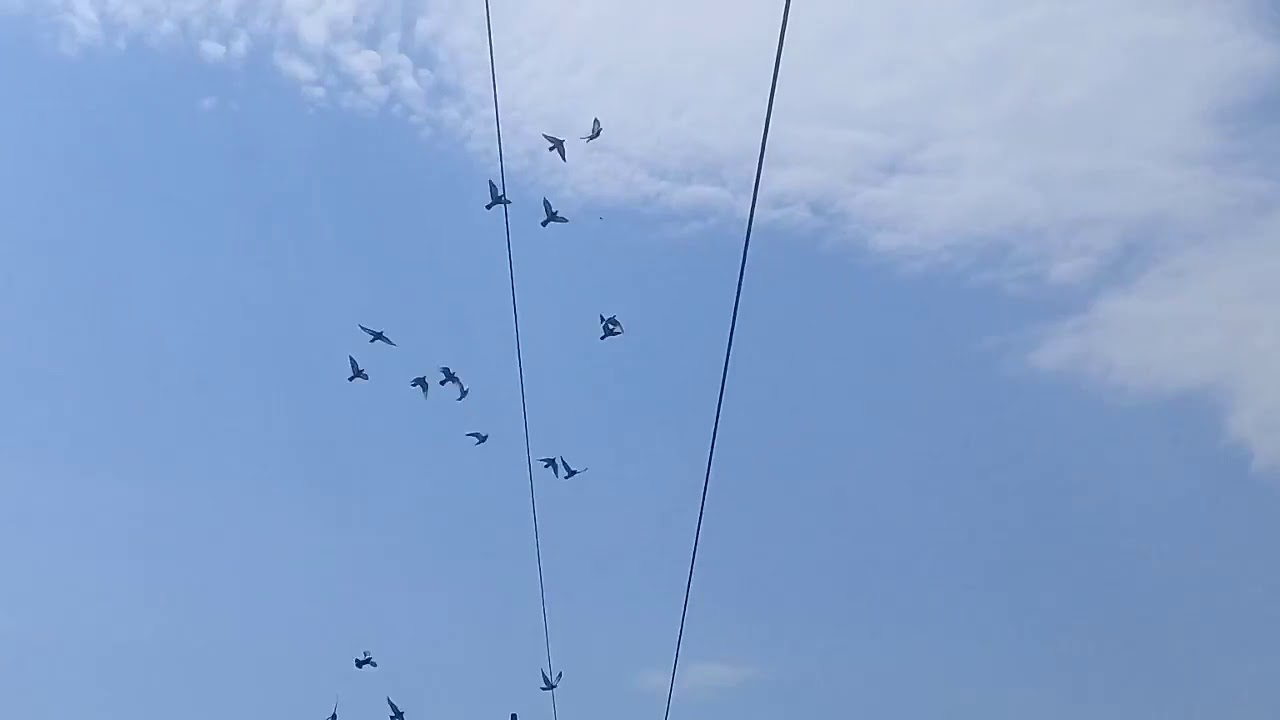 camera iphone 8 plus apk PORUMBEII