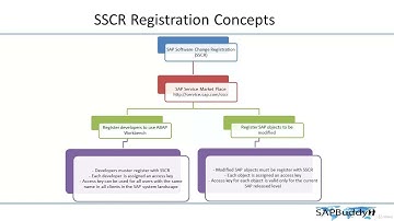 SAP BASIS COURSE: Lec 41. Development Transport Request.