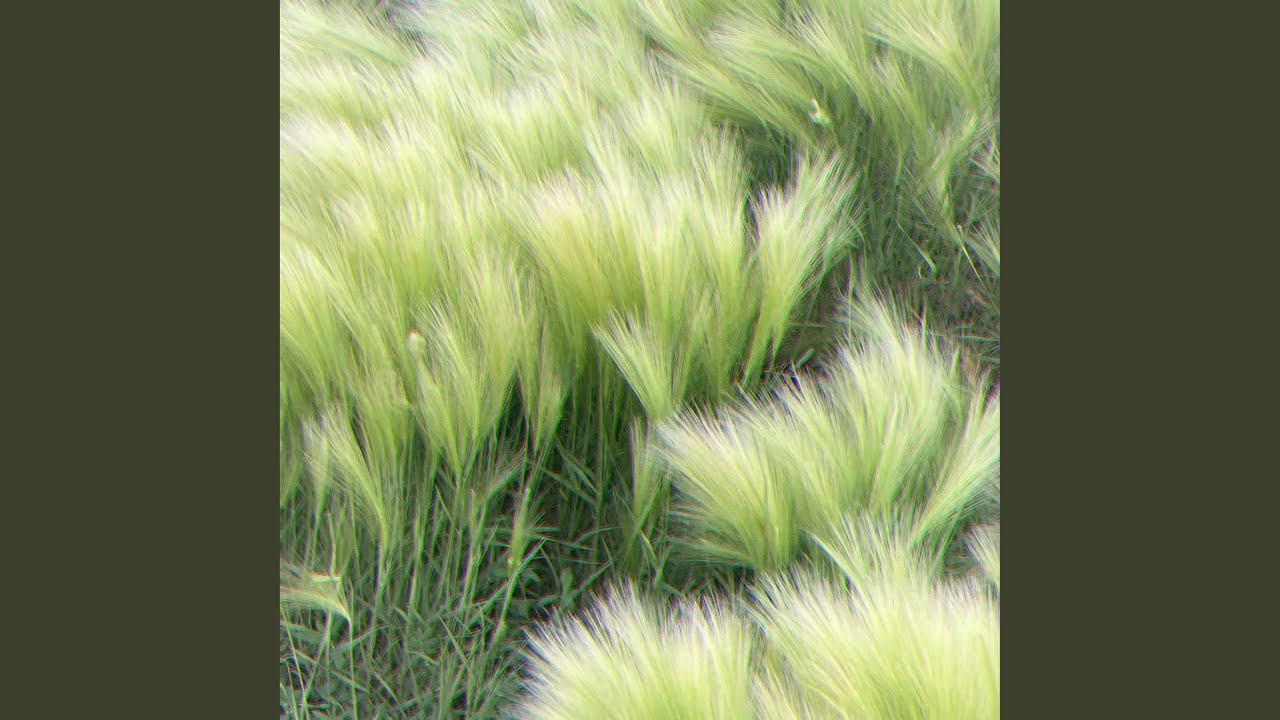 Watch Clovers on YouTube Watch Clovers on YouTube