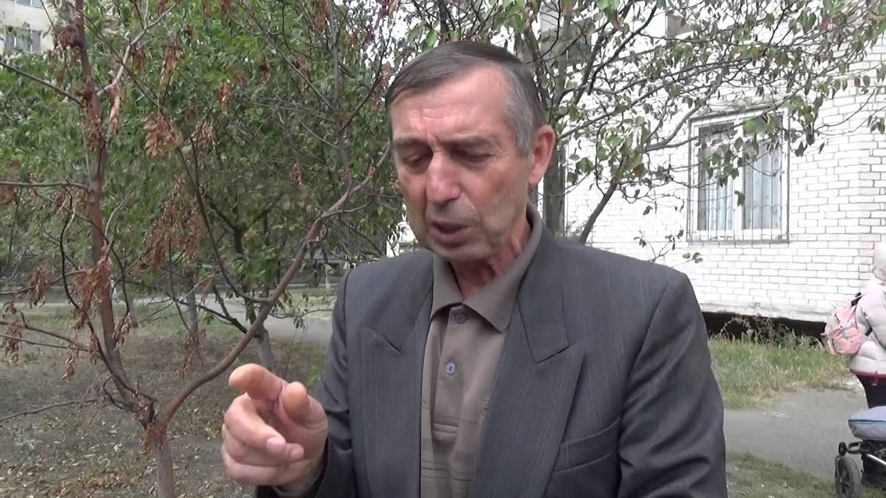 ЧТО ТАКОЕ КОЛЛОИДНОЕ СЕРЕБРО В МОЮЩИХ СРЕДСТВАХ? - YouTube