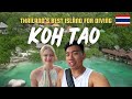  first time in koh tao thailands best island for diving  snorkelling