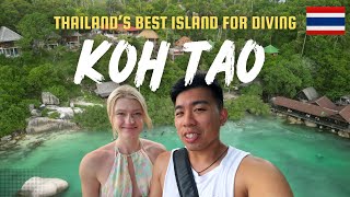 🇹🇭 First Time in KOH TAO (Thailand's Best Island for Diving & Snorkelling)
