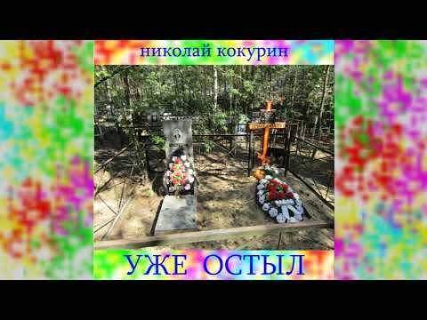 Николай Кокурин - Я уже был
