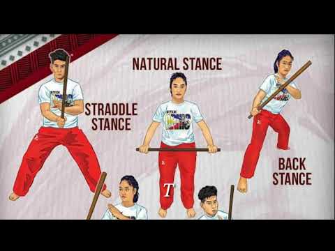 THE BASIC SKILLS OF ARNIS