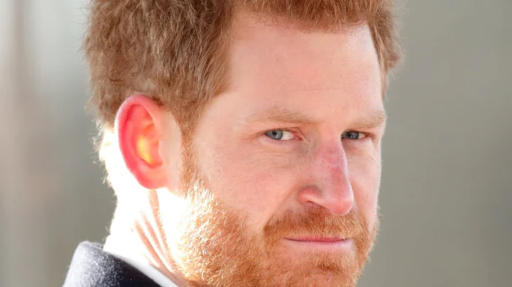 Prince Harry's biggest grievance is that he wasn't...