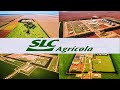 A GIGANTE SLC AGRÍCOLA - uma das maiores produtoras do mundo.