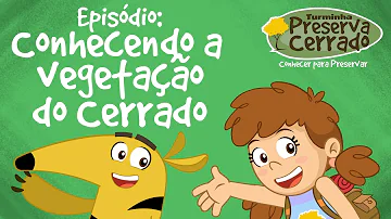 Qual é o tamanho do Cerrado?