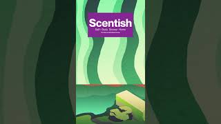 SCENTISH 1 - MOCK-UP
