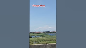 Thumbnail of #MoreThanICanSay, #LeoSayer, #PopClassic #LoveSong #Nostalgia, PATTAYA STORY @OYLOVEPOINT