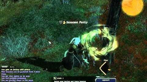 FFXIV Animation Glitch