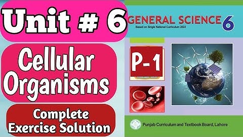 6th Class General Science New Book Chapter 6 Exercise Question Answer |Class 6 Science Chapter 6