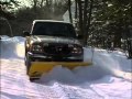 FISHER® Homesteader™ Personal Plow