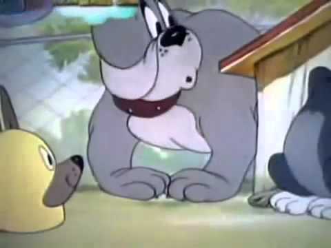 Tom and Jerry Tales Puttin On The Dog Latest Episode