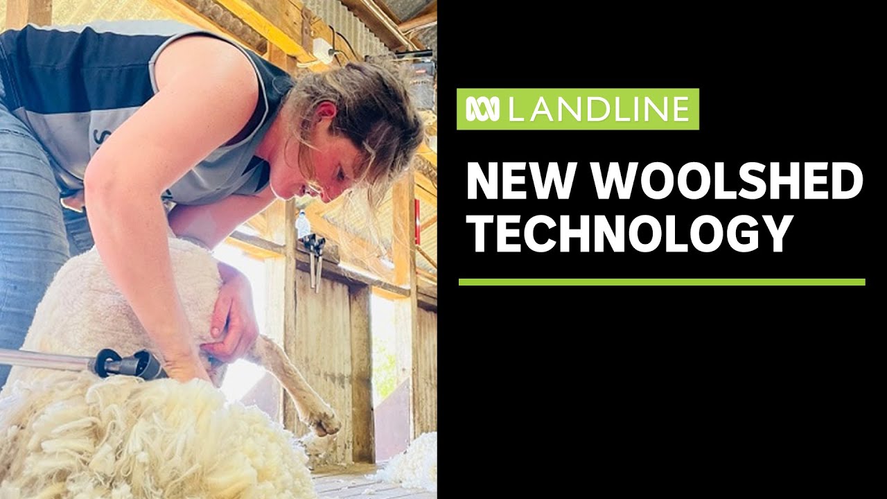 tracking-wool-bales-from-the-shearing-shed-to-the-entire-supply-chain