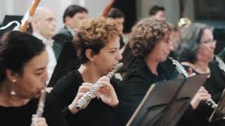 Dubrovnik Symphony Orchestra Promo Video