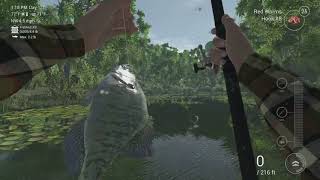 First Look / Fishing Planet The Ultimate Fishing Simulator / Xbox One screenshot 5