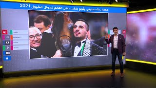 الحصان الفلسطيني دي مزيان أجمل خيل أصيل في العالم لعام 2021