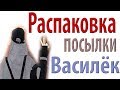 РАСПАКОВКА ПОСЫЛКИ  ИНТЕРНЕТ-МАГАЗИН "ВАСИЛЁК"