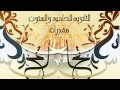 القراءة التحليلية الناقدة 