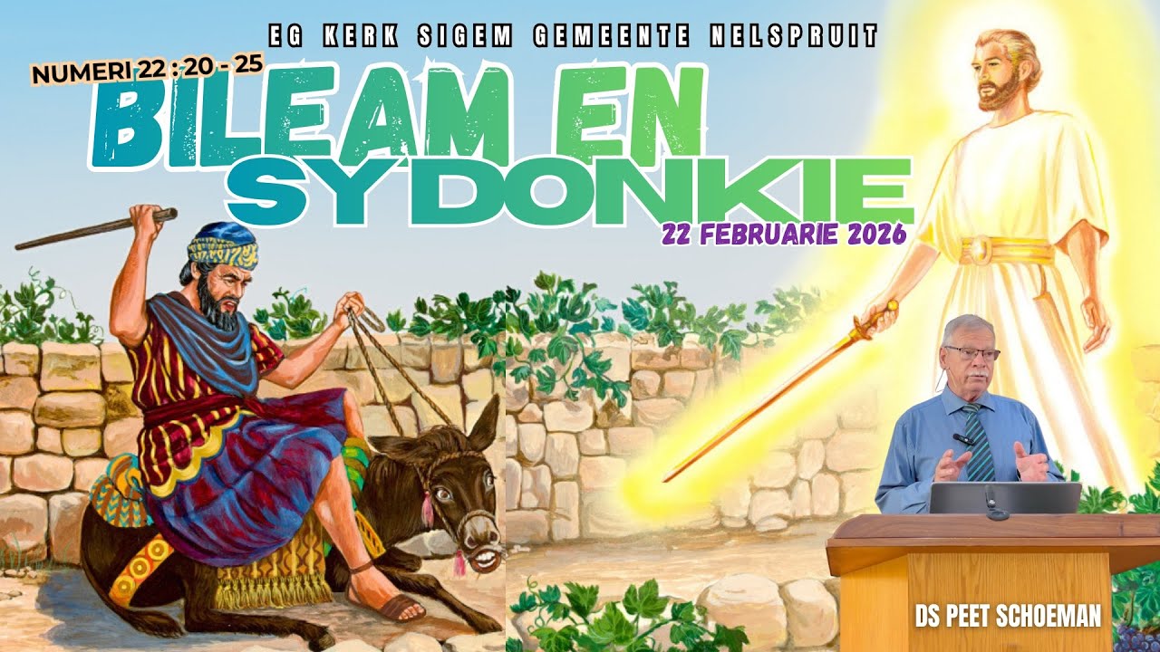 Bíleam en sy donkie - Ds Peet Schoeman