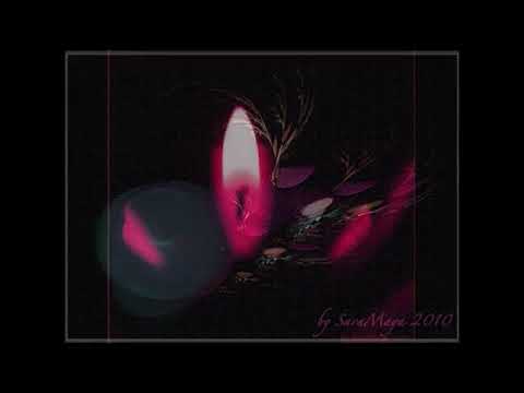 Digital Art and Music / Biggi Bechtold und SaraSund Berlin