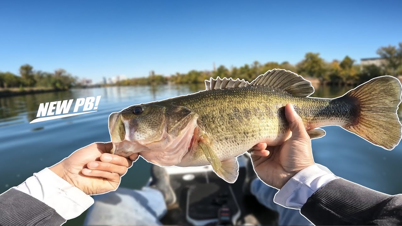 Fall Bass Fishing on the James River Downtown RVA