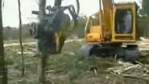 Tree Terminator
