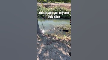 Ugly stick #uglystick