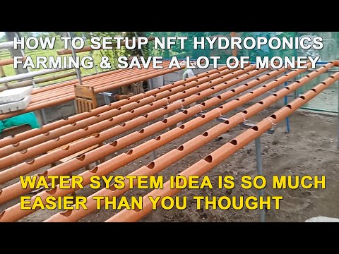 Video: Hydroponisk installation til dyrkning af grønt med dine egne hænder: skema, enhed, løsning