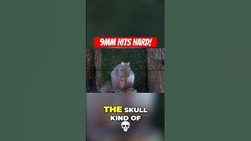 Squirrel Vs 9mm