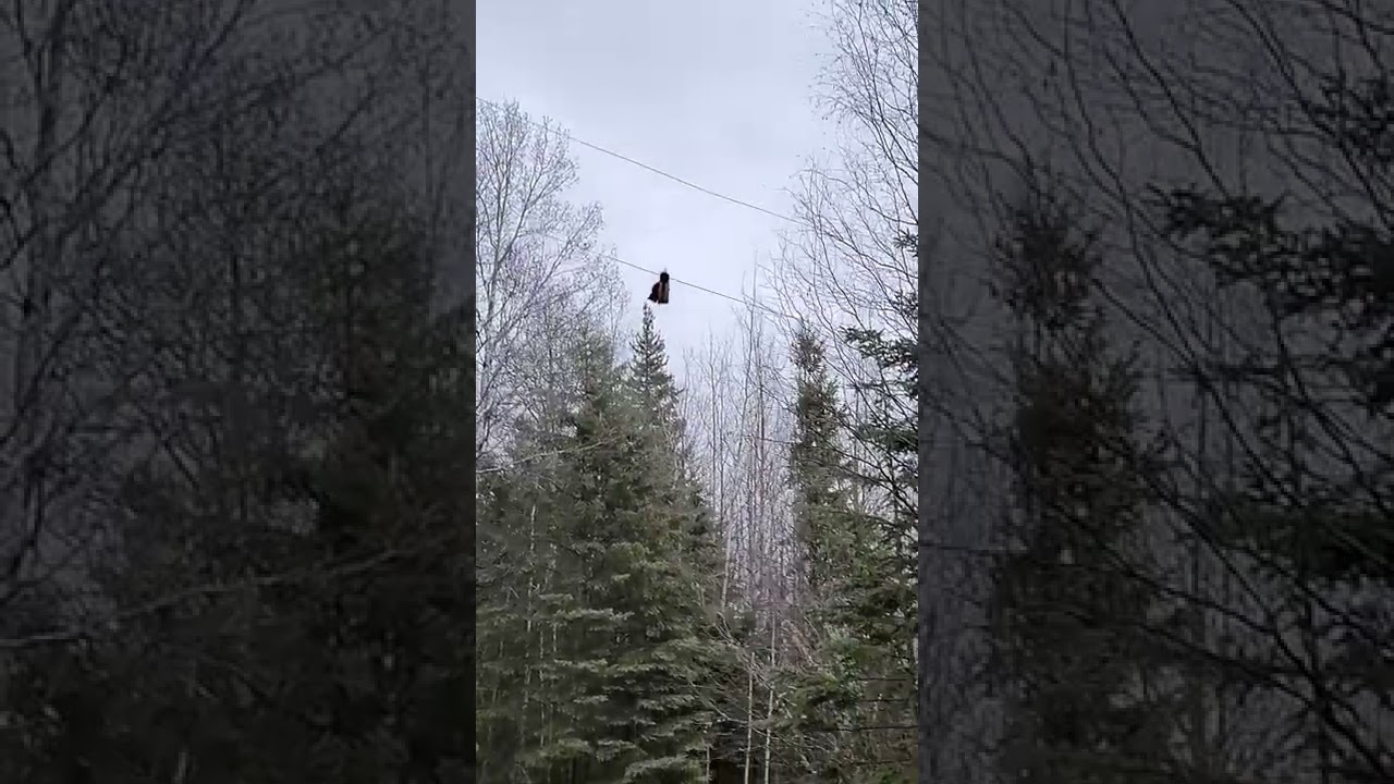 UFO Sighted in Alberta .... Unexplainably Flavorful Object!