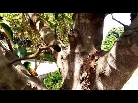 Dawa Ya Kukusaidia Kushinda Kesi Yeyote Ile Inayokukabili