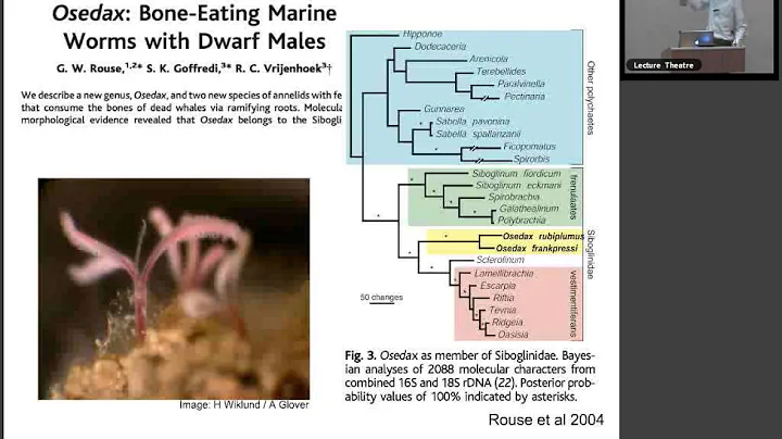 Adrian Glover: Chemosynthesis at Whale-falls