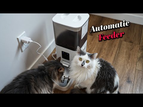 Automatic pet feeder with a built in camera - Joy Pebble