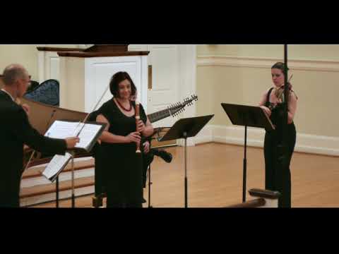 Telemann: Concerto in G minor, TWV 43:g3. October 2017. - YouTube