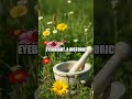 Blue Light Allies Gentle Eye Care With Bilberry and Eyebright