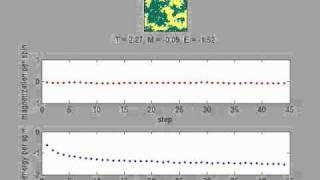Ising Model Energy and Magnetization Plots at Tc