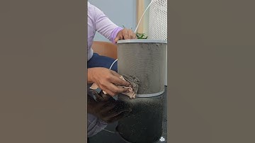 How to clean your Smart Air Purifier