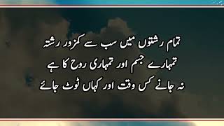 Hazrat Ali r.a Quotes in Urdu | Hazrat Ali r.a Urdu Aqwal | Islamic video | Shezadi Mk