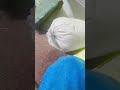 #automobile #comedy #shortvideo #funny #viralvideo #sorts #love